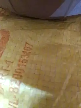 Snapshot of Cr_sonam chatting on 11/04/25, 11:04 Cr sonam online show from 11/04/25, 11:04