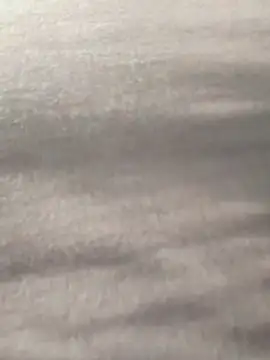 Snapshot of Y0ur_Slave chatting on 03/05/26, 07:26 Y0ur Slave online show from 03/05/26, 07:26