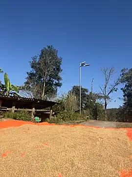 miemie-xx online show from 11/26/25, 03:18