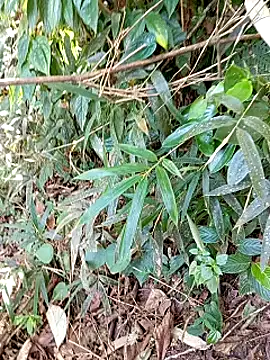 jerry-xx online show from 10/29/25, 12:57