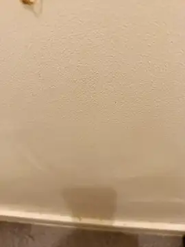  Gabriela 5Live online show from 11/10/25, 05:12