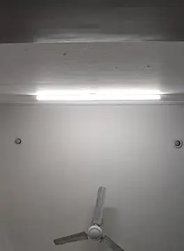 Anchal-8798 online show from 11/08/25, 06:07