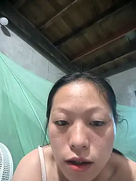 Zerin nova online show from 11/01/25, 06:59