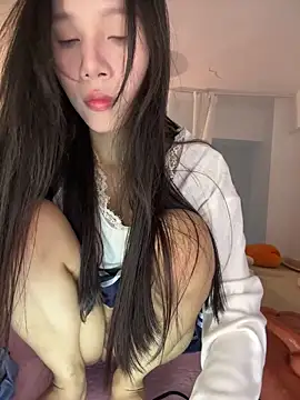 Snapshot of Mmo66 chatting on 02/12/26, 08:20 Mmo66 online show from 02/12/26, 08:20