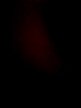 lorina202 online show from 11/18/25, 11:59