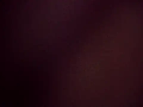 Snapshot of jjLARAY chatting on 11/29/25, 11:02 jjLARAY online show from 11/29/25, 11:02