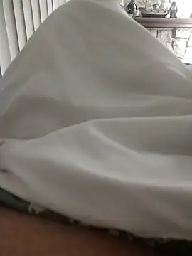 Snapshot of shyguy8569 chatting on 11/11/25, 11:05 shyguy8569 online show from 11/11/25, 11:05