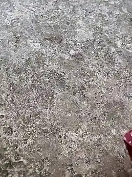 play boy-raj007 online show from 11/02/25, 10:17