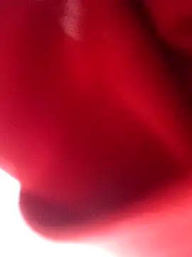 Snapshot of nalgastalla60 chatting on 02/06/26, 03:55 nalgastalla60 online show from 02/06/26, 03:55