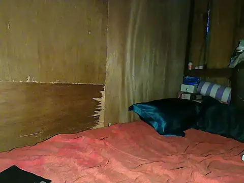 wildcat30 online show from 11/01/25, 10:23