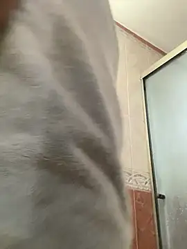 La-Gatiita-trans online show from 06/09/26, 11:16