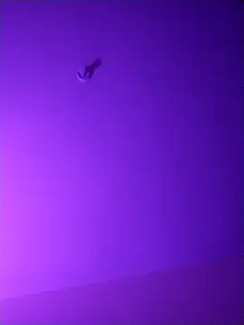 checheludo23 online show from 04/16/26, 11:11