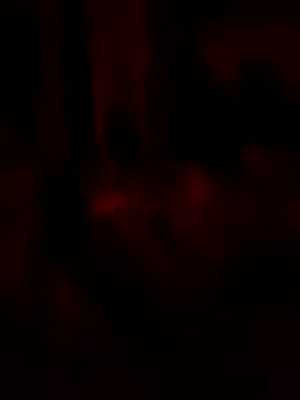 Snapshot of goloso80 chatting on 05/22/26, 02:51 goloso80 online show from 05/22/26, 02:51