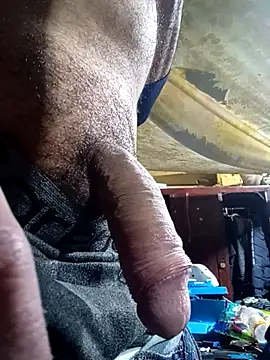 Cogelonregio online show from 12/04/25, 04:00