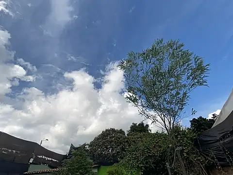 moon2 1  online show from 12/04/25, 07:55