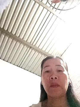 tabby-cat11 online show from 11/03/25, 01:51