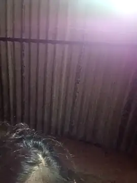 M-MAYA online show from 12/02/25, 05:41