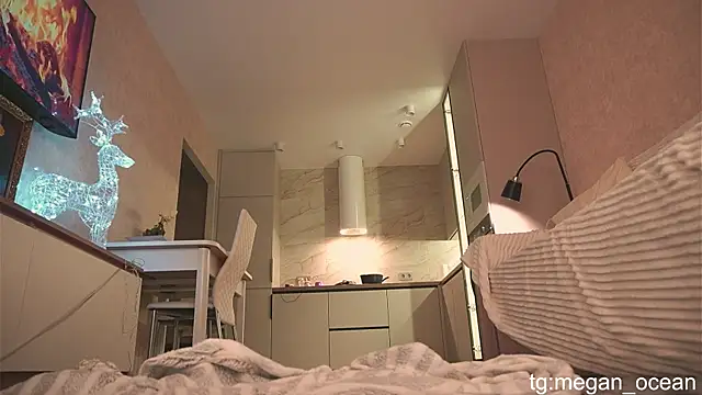 Snapshot of Megan_galactica chatting on 11/30/25, 04:11 Megan galactica online show from 11/30/25, 04:11