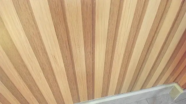 mia  blaze   online show from 11/11/25, 03:06