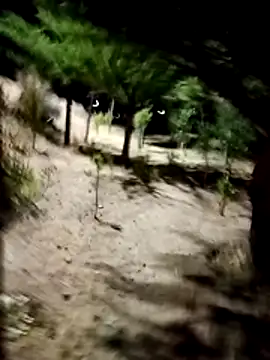 Labellasex online show from 12/18/25, 04:40