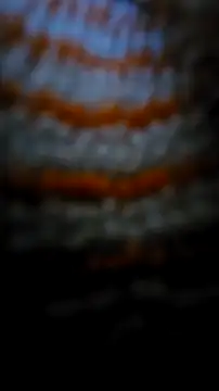 Sexecochon online show from 12/22/25, 02:03