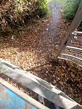 bbyxklaus online show from 11/05/25, 10:26