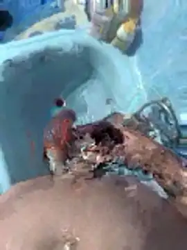 Miguelitros online show from 04/27/26, 04:27