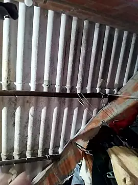 Snapshot of AfroditaSweet@xh chatting on 01/18/26, 11:03 AfroditaSweetxh online show from 01/18/26, 11:03