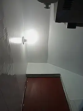 celeste 83 online show from 10/27/25, 04:22