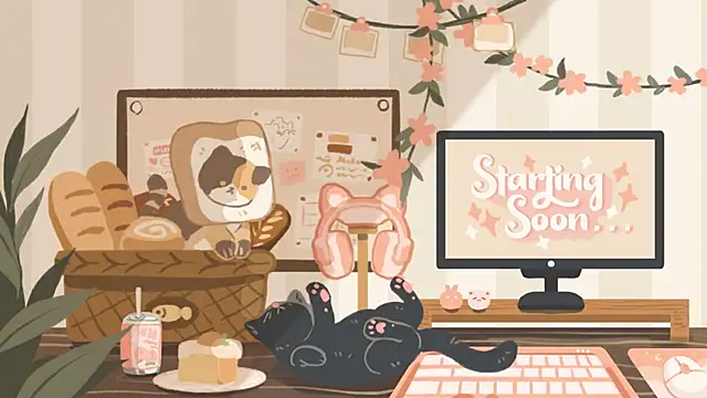 geekycastillo online show from 11/05/25, 03:39