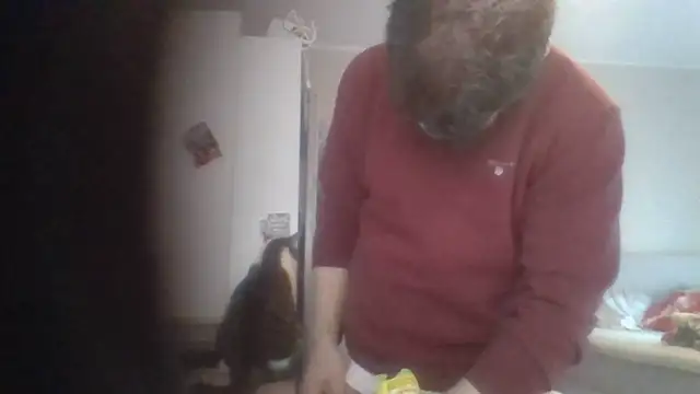 Snapshot of aufstieg95 chatting on 01/21/25, 07:26 aufstieg95 online show from 01/21/25, 07:26