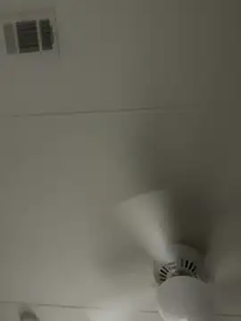 Snapshot of D13ON3L chatting on 11/08/25, 08:03 D13ON3L online show from 11/08/25, 08:03