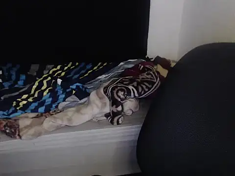 Negritatata online show from 11/28/25, 11:13