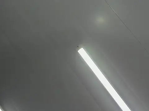 Gianna Johnson online show from 11/23/25, 03:28