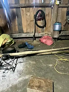 Snapshot of nachi-baby chatting on 12/14/25, 08:52 nachi-baby online show from 12/14/25, 08:52