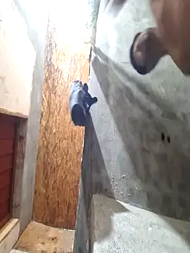 Snapshot of sanz957 chatting on 11/14/25, 03:49 sanz957 online show from 11/14/25, 03:49