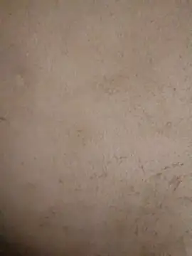 doggy-00 online show from 05/10/26, 08:19
