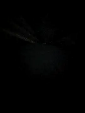 Lana-murr online show from 12/13/25, 07:53