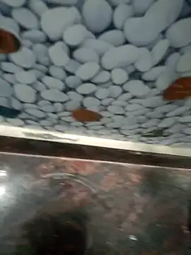 Snapshot of Pandey0012 chatting on 03/12/26, 11:49 Pandey0012 online show from 03/12/26, 11:49