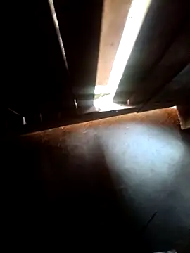 Pandey0012 online show from 03/16/26, 12:09