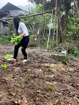 heodat-sexx online show from 12/20/25, 09:38