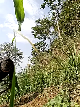 yoyo-mi online show from 05/06/26, 08:41