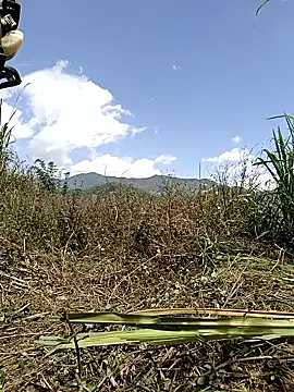 yoyo-mi online show from 05/13/26, 03:04