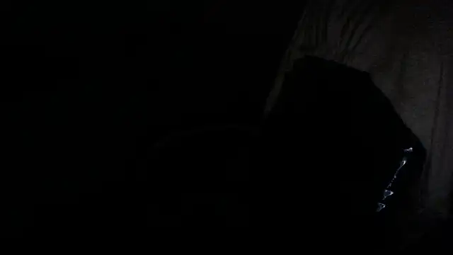 gygyfox online show from 11/21/25, 10:52