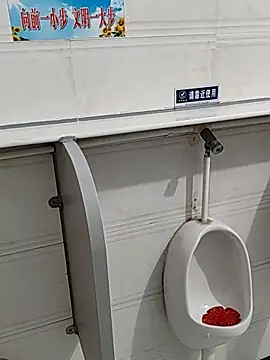 Snapshot of tian7788 chatting on 01/31/26, 08:40 tian7788 online show from 01/31/26, 08:40