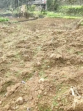 Snapshot of tian7788 chatting on 02/17/26, 03:03 tian7788 online show from 02/17/26, 03:03