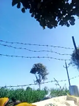 Sangita k online show from 12/20/25, 05:36