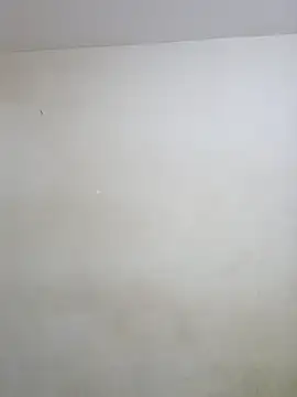 Snapshot of negramenta chatting on 01/15/26, 11:48 negramenta online show from 01/15/26, 11:48