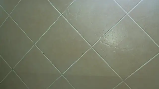 NewBeginnings8 online show from 12/15/25, 12:53