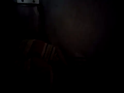 6perlas9 online show from 11/03/25, 02:07